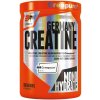 Extrifit Creatine Germany, 300 g