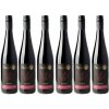 Pádár | 6x Exclusive balík | Suché | Červená | 2017 | 12,5 % | 4,5l | (Kartón)