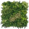 Moss coral mix 2, dielec 50 x 50 cm (Realistická imitácia machu - vyššia hustota)