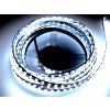 Brolux LED pásik 5m 12V SMD 2835 120LED/m 13W/m 6000K Studená biela IP20, BW007022