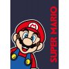FARO Fleece deka Super Mario Polyester, 100/140 cm