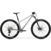 MERIDA BIG.NINE TR 5000 šedý(strieborný/čierny) 2024