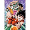 EDUCA Puzzle Dragon Ball 200 dielikov