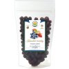 Salvia Paradise Kanadské čučoriedky sušené mrazom - lyofilizované 20 g