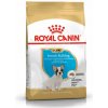 Royal Canin French Bulldog Puppy 3 kg granule pre mladé francúzske buldočky