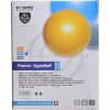 Power system GYM 65cm