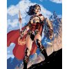 ZUTY Maľovanie podľa čísel WONDER WOMAN MEČ A ŠTÍT