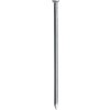 PRODOMOS line Stavebný klinec 3,1 x 70 mm oceľový 5 kg