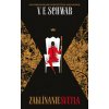 Zaklínanie svetla (Odtiene mágie 3) - V. E. Schwab