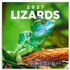 Ještěři nástěnný 2027