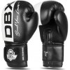 Boxerské rukavice DBX BUSHIDO B-2v20 14oz