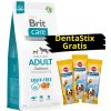 BRIT CARE Grain-free Adult Salmon 12kg + 3x DentaStix ZADARMO