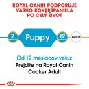 Krmivo pre psa Royal Canin Cocker Puppy 3 kg