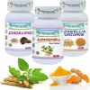 Planet Ayurveda Ischias - ajurvéda na zápal sedacieho nervu