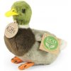 Eco-Friendly kačica divá 13 cm