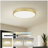 Brilagi - stmievateľné LED svietidlo POOL SMART LED/100W/230V 80 cm zlaté Wi-Fi Tuya+DO BRI565 + záruka 3 roky zadarmo