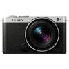 Panasonic Lumix S9 DC-S9NE-SA