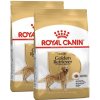 Royal Canin Golden Retriever Adult 2 x 12 kg