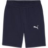 Puma teamGOAL Casuals M shorts 658608 06 (201659) Green S