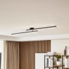 Lindby Aurendor LED stropné svietidlo 135 cm - 10018689