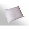 2G Vankúš Clivie 60x40(350g)