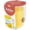 Bolsius True Scents Mimosa 73 x 80 mm