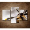 Staré lietadlo - 3dielny 90x60cm