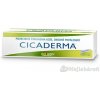 CICADERMA 30 g