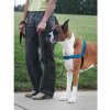 PetSafe Easy Walk Postroj proti ťahaniu DELUXE modrý L