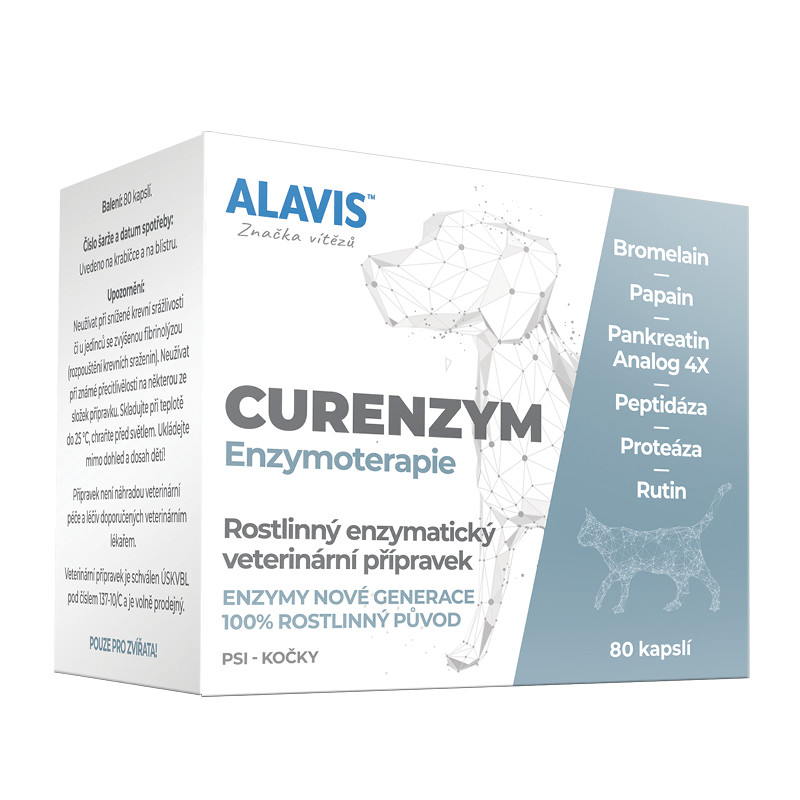 Alavis Enzymoterapie 80 tbl