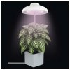 Rastúca lampa EMOS Z7901 Grow 5W