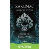E-kniha Zaklínač: Búrková sezóna - Andrzej Sapkowski, Brian Terrero (ilustrátor), Jakub Šimjak (ilustrátor)