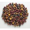 Mivardi Rapid boilies - Multi Mix 10kg
