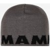 Zimná čiapka Mammut Logo Beanie - steel/black