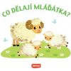 Co dělají mláďátka?