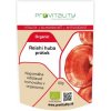 Reishi organic prášok