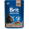 RIT BRIT Premium Cat Liver Sterilised - mokré krmivo pre mačky - 100 g