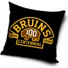 TipTrade Velurový Polštář NHL Color Boston Bruins 40x40