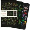 Anna Stead: Herbals Set of 3 Mini Notebooks (FLAME TREE)(Pevná)