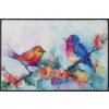 wash+dry Interiérová rohožka Birdorama 50x75 cm Rozmer: 50x75 cm