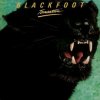 Blackfoot - Tomcattin [CD]
