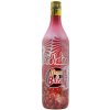 Dama de Baza Grenadine 1,0L - Koktailový sirup s príchuťou granátového jablka 0,0% alk.