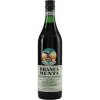 Fernet Branca Menta 28% 1 l (čistá fľaša)