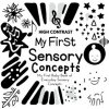 My First Sensory Concepts Baby Book (Wonder Castles Publishing)(Brožovaná)