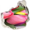 Fototapeta diera na stenu Farebné tulipány 75x75 cm