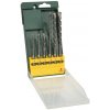 BOSCH 6-dielna súprava príklepových vrtákov SDS plus - 2 607 019 447