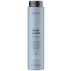Lakmé Teknia Body Maker Shampoo 300 ml
