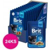 BRIT Cat Kitten Premium kapsička Chicken Chunks 24x100g