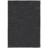 Flair Rugs, Kusový koberec Shaggy Teddy Charcoal, 120x170, šedá, obývacia izba