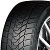 DELINTE 185/60 R 15 WD1 84H